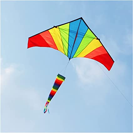 Cerf-volant arc-en-ciel avec manche  air - Jouet volant pour enfants -  Motif porte volante - Plage - Couleur : cerf-volant avec ligne de 100 m :  Amazon.ca: Jeux et Jouets