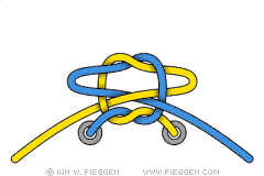 Crossed Ian Knot diagram 5