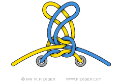 Double Knot diagram 2
