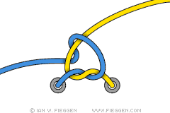 FreedomKnot diagram 2