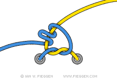 FreedomKnot diagram 3