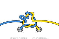 FreedomKnot diagram 4