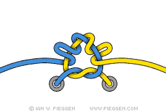 FreedomKnot diagram 5