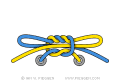 FreedomKnot diagram 6