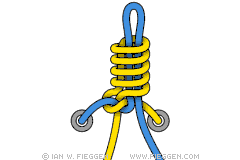 Halloween Knot diagram 5