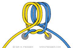 Mega Ian Knot diagram 3