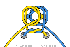 Mega Ian Knot diagram 4