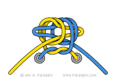 Mega Ian Knot diagram 5