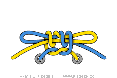 Mega Ian Knot diagram 6