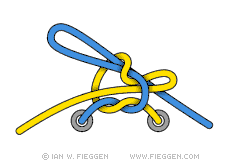 Standard Knot diagram 5