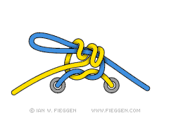 Surgeon's Shoelace Knot diagram 6