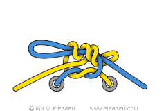 Surgeon's Shoelace Knot diagram 7