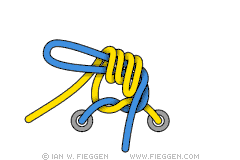 Turquoise Turtle Knot diagram 5