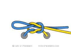 Two Stage Shoelace Knot diagram 6